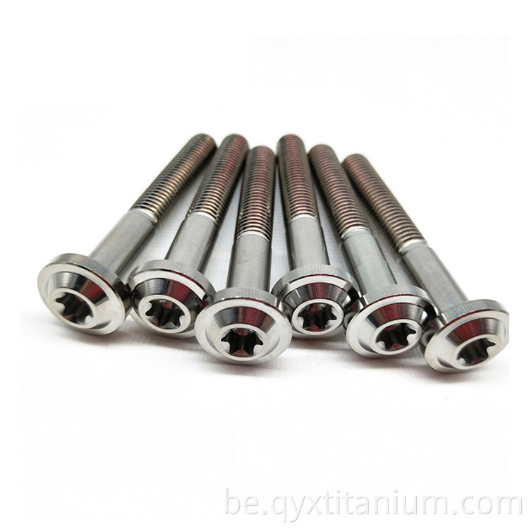 titanium bolt